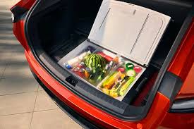 China's car refrigerator industry status quo development prospects forecast r...